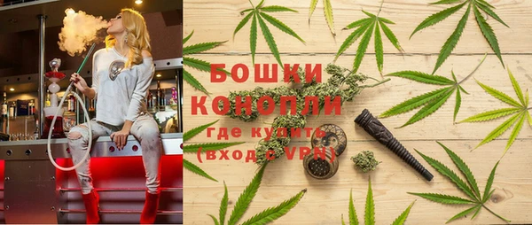 ПСИЛОЦИБИНОВЫЕ ГРИБЫ Баксан